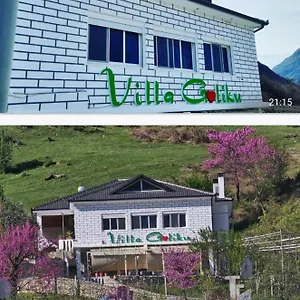 Vila Goliku, Pestani
